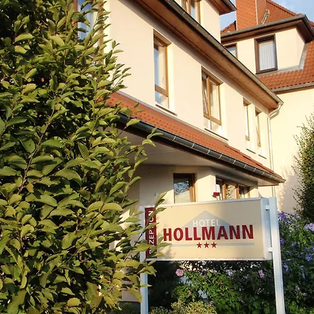 מלון Hollmann 3*