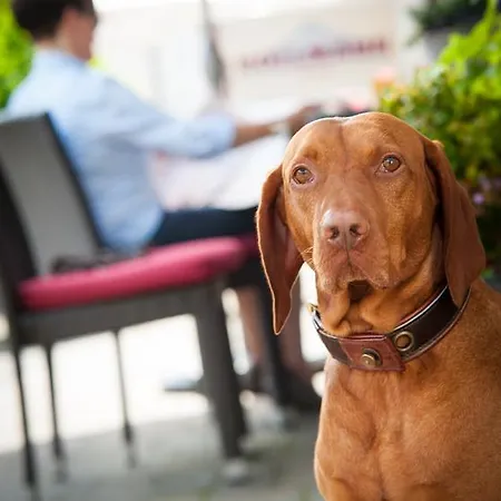 Hollmann Lichtenau/Westfalen