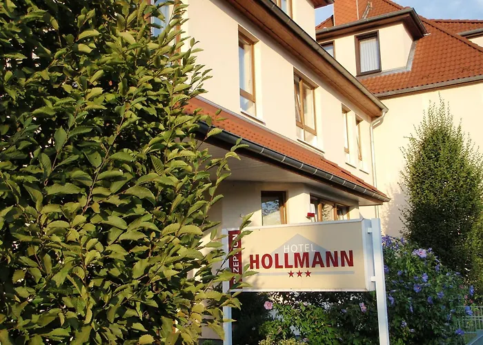 Otel Hollmann 3*