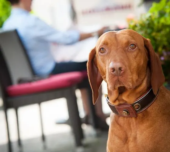 Hollmann Halle (Westfalen)